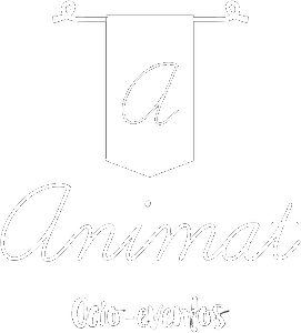 AnimaT Ocio y Eventos